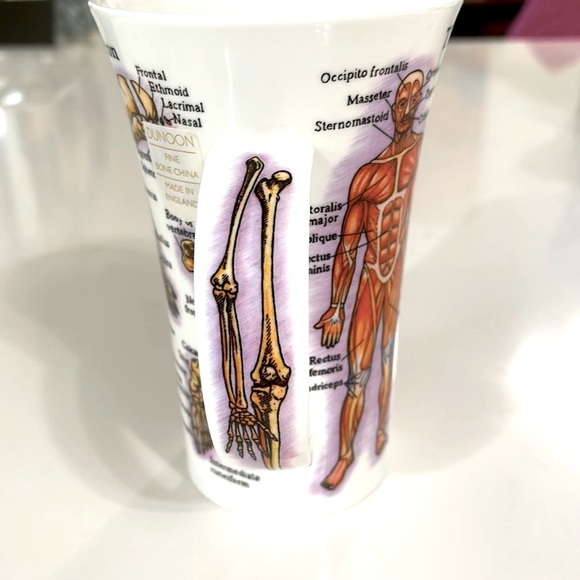 NEW Dunoon Glencoe Bone China Human Body Coffee Cup. - Picture 4 of 8